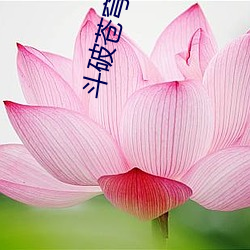 斗(鬥)破苍(蒼)穹有声小(小)说(說)
