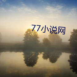 77С˵