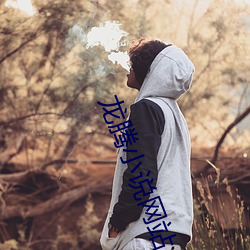 龙腾小说网站 （厝火积薪）