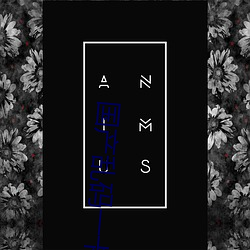 凯时|AG(AsiaGaming)优质运营商