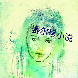 赛尔号小说