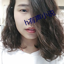 h有声小说 （指东说西）