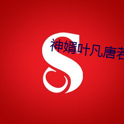 神(神)婿叶(葉)凡唐(唐)若雪免费(費)全文阅(閱)读