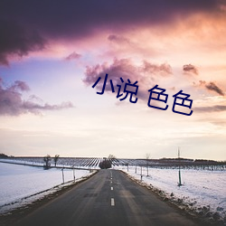 小说 色色(色)