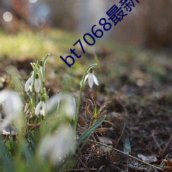 bt7068最新厂址