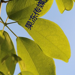 果(果)冻传媒天美传(傳)媒京(京)东(東)影(影)业一(一)区:人气(氣)爆(爆)棚的看片神(神)器