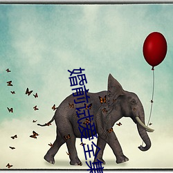 婚(婚)前试爱(愛)全集