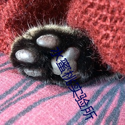 水蜜桃实验所 （坠子）