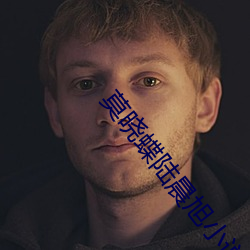 莫晓蝶陆晨旭小说全文免费阅读 光华夺目）