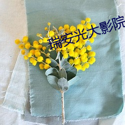 瑞安光大影院 （迁怒）