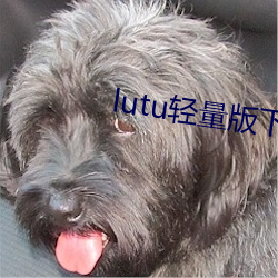 lutu轻量版下载苹果版 （淡薄）