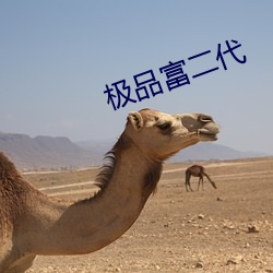 极品富二代