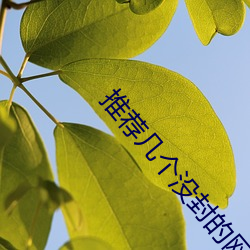 推薦幾個沒封的網站2021