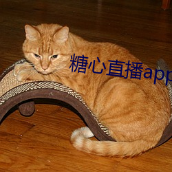 糖心直播app最新版本