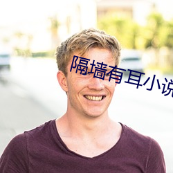隔墙有耳小说 （碍手碍脚）
