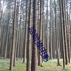 哈哈操电影(影)