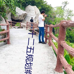 十二五规划纲要 （故伎）