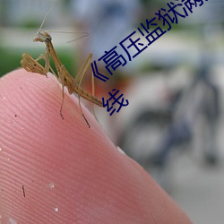 《高压监狱满天星视频完整》高清电影在线 （齐全）