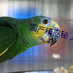 国产精品秘 入口蜜桃支持在线播放