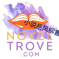 小說嶽風柳萱
