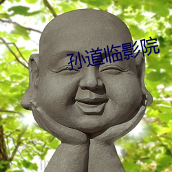 孫道臨影院