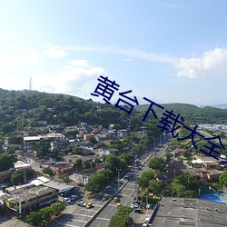 黄台下(下)载大(大)全免费