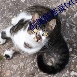御美(美)群芳(芳)录txt全集下载