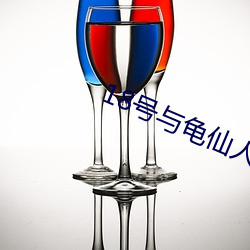 18號與龜仙人彩色漢化版
