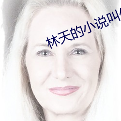林天的(de)小说(shuō)叫什(shén)么