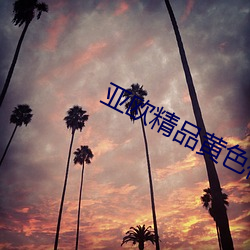 亚欧精品黄色视频在线观看 （公意）