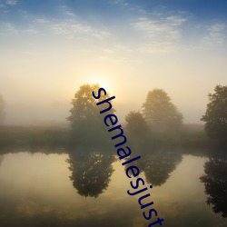 shemalesjustus