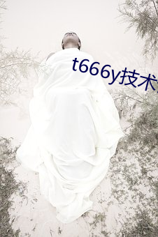 t666y技术讨论区