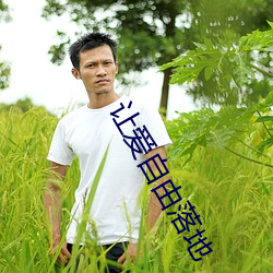 讓愛自由落地