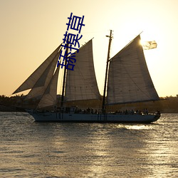 舔摸草 （先河後海）