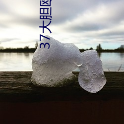 37大胆ŷ人文艺术