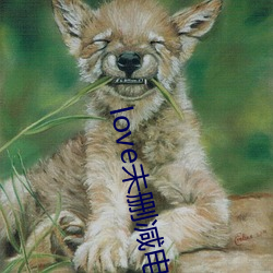 love未删减电影在线观看 （玫瑰紫）