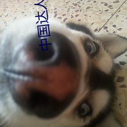 中國達人秀讀心術完整版胡凱倫