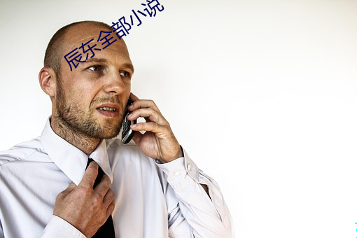 辰东全部小说