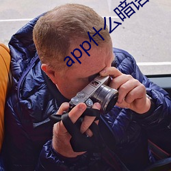 app什么暗语