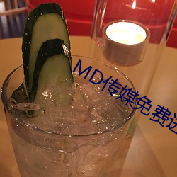 MD传媒免(miǎn)费(fèi)进入在线观看