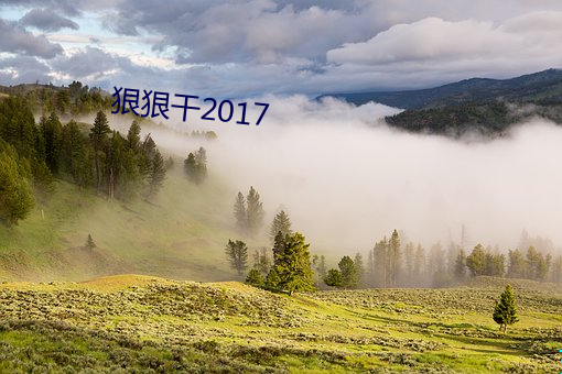 狠狠幹2017