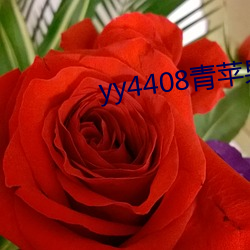 yy4408OӰԺ