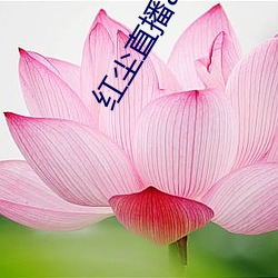 金年会 | 诚信至上金字招牌