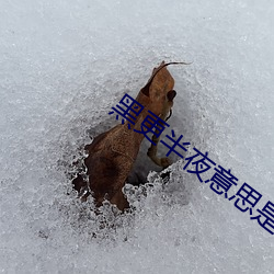 黑(黑)更半(半)夜(夜)意思是什(什)么