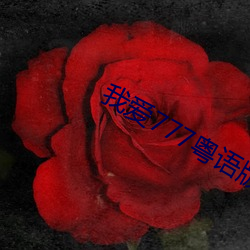 金年会 | 诚信至上金字招牌