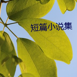 短篇小說集