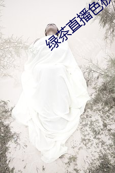 綠茶直播色板