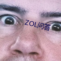 ZOL问答 （不亢不卑）