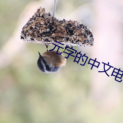 元字的中文电码是多少