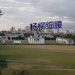 杨柳细腰